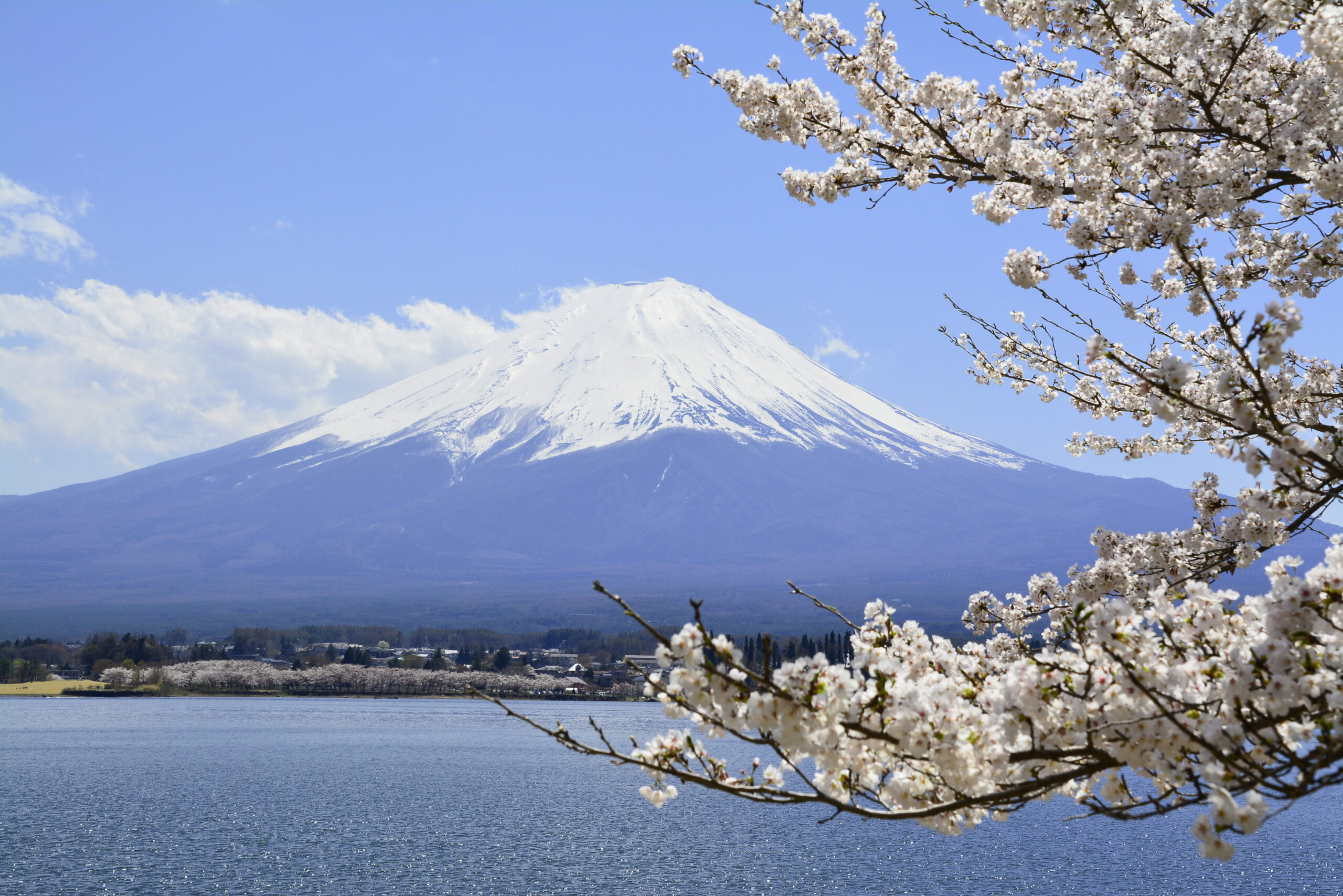 第二種旅行業登録ガイド│登録（許可）の基準と申請方法について分かり